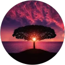 Jackie V profile picture